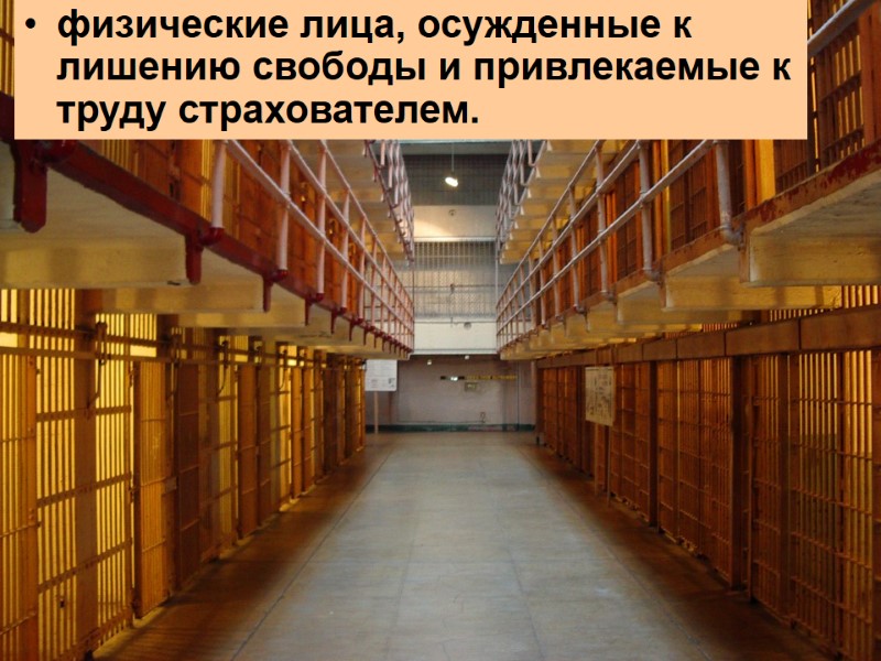 физические лица, осужденные к лишению свободы и привлекаемые к труду страхователем.